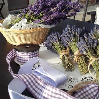 Leven-dülő Vendégház Mozsgó (5)