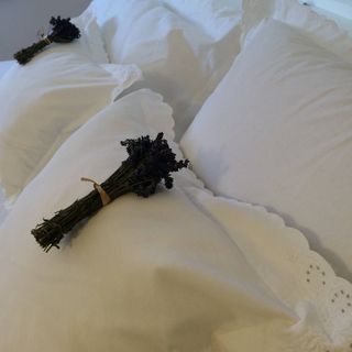 Leven-dülő Vendégház Mozsgó (2)