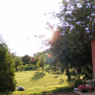 Terike Vendégház Hévíz (5)