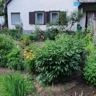 Virágoskert Vendégház Nagybörzsöny (3)