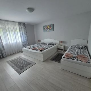 Casa de Oaspeți Anna Sovata (4)
