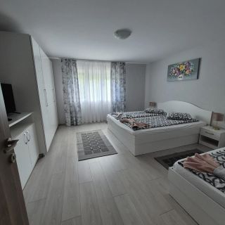 Casa de Oaspeți Anna Sovata (5)