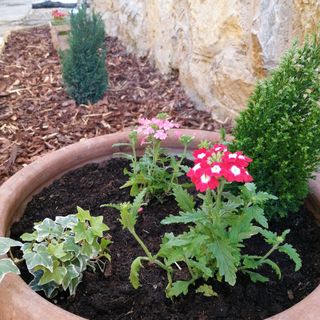 Carolina Vendégház Izmény (4)