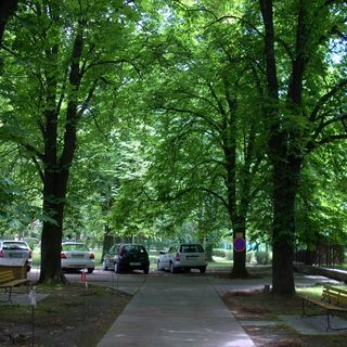 Apartman István Harkány (4)