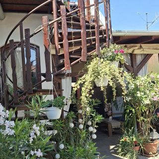 Aranka Apartman Gyula (4)
