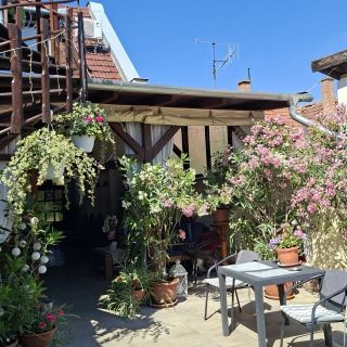 Aranka Apartman Gyula (5)