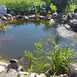 Magnolia Rooms Serock (3)