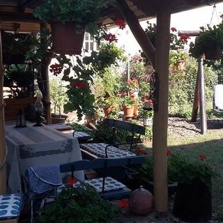 Hostel Vendégház Fót (3)