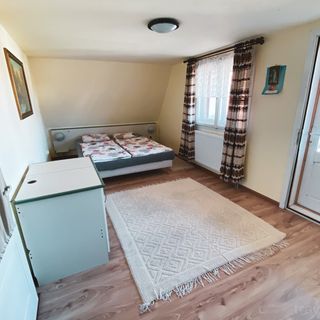 Casa Farkas Lăzarea (3)