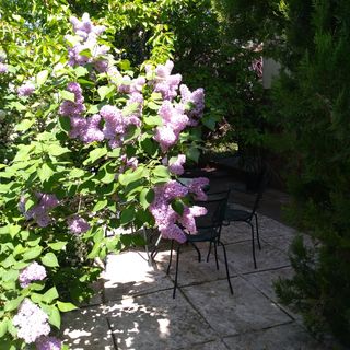 Vadszőlő Apartman Paloznak (5)