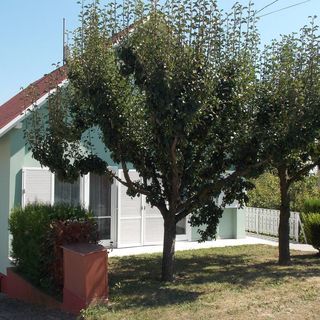 Bencze Vendégház Zalakaros (2)