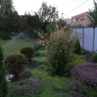 Mikes Vendégház Szeged (5)