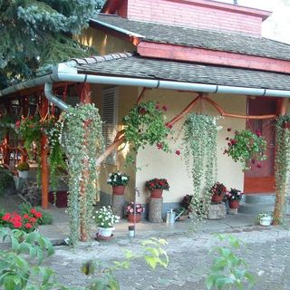 Benkő Vendégház Gyopárosfürdő (2)