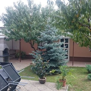 Edit Apartman Harkány (3)