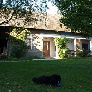 Őrségi Fecskefészek Vendégház Őriszentpéter (4)