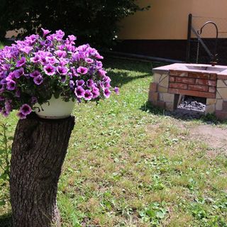 Lugas Vendégház Felsőtold (5)