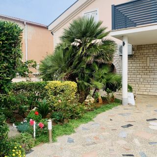 Apartmani Barbara Vir (4)