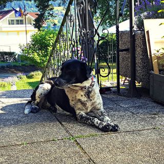 Haus Lavendel Ossiach (5)