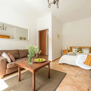 Apartament Zbawiciela Centrum Warszawa (3)