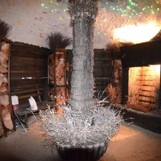 Witalna Osada Helonowo Ustrzyki Dolne (3)