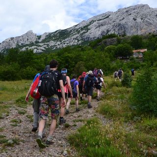 Apartmani Nekić Seline (5)