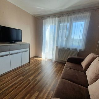 Csillagfény Apartman Eger (5)
