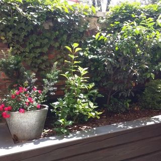 Crystal Suites Old Town (5)