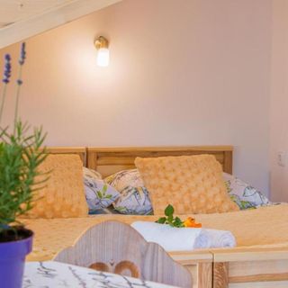 Willa Trebunia Zakopane (5)