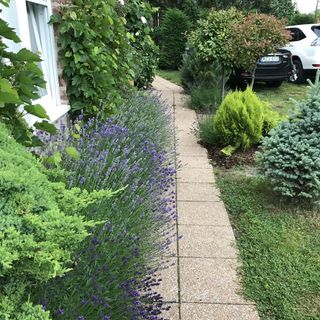 Levendula Apartmanház Badacsony (2)