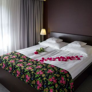 Rezydencja Sienkiewiczówka Zakopane (2)