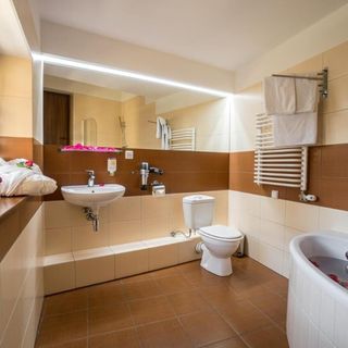 Rezydencja Sienkiewiczówka Zakopane (5)