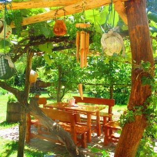 Kéknefelejcs Vendégház Szatta (2)