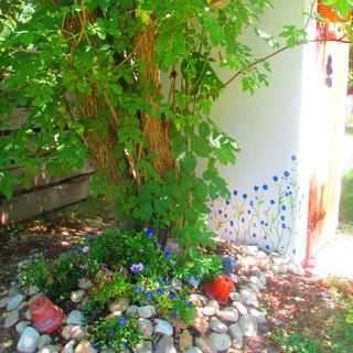 Kéknefelejcs Vendégház Szatta (5)