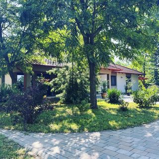 Mustang Vendégház Akasztó (4)