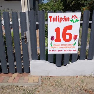 Tulipán Ház Cserkeszőlő (3)