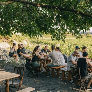 Szászi Birtok Hegymagas (4)