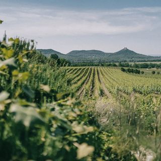 Szászi Birtok Hegymagas (5)