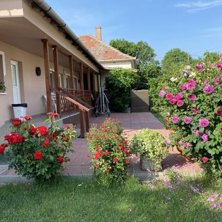 Tiszavirág Apartmanház Szeged (4)