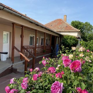 Tiszavirág Apartmanház Szeged (5)