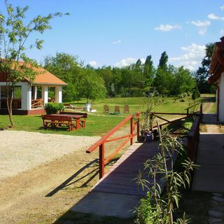 Homok-Bérc Vendégház Tiszafüred (5)