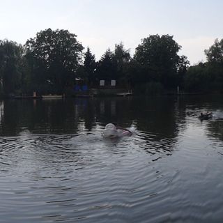 Netta Nyaraló Békésszentandrás (3)