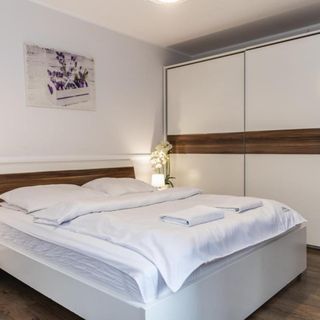 Apartament Tetmajer 2 Centrum Zakopane (3)