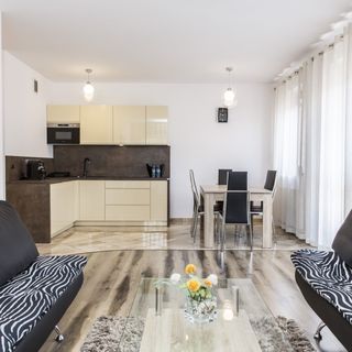 Apartament Zaciszny Centrum Zakopane (2)