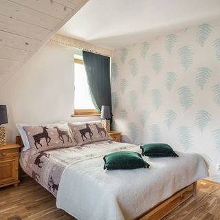 Dom Malina Centrum Zakopane (4)