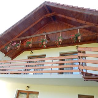 Casa Toth Sovata (3)