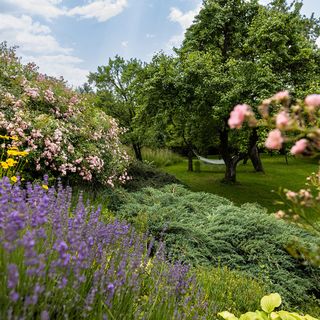 Akácos Vendégház II. Kőszeg (3)