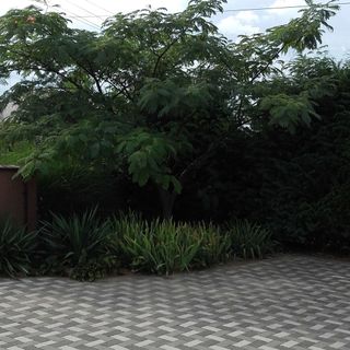 Anikó Apartman Zalakaros (5)