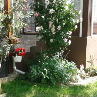 Holiday Apartmanház Zalakaros (3)