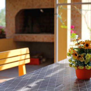 Apartman Petra Bibinje (4)