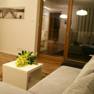 IRS Apartament Olive Suite Gdańsk (2)